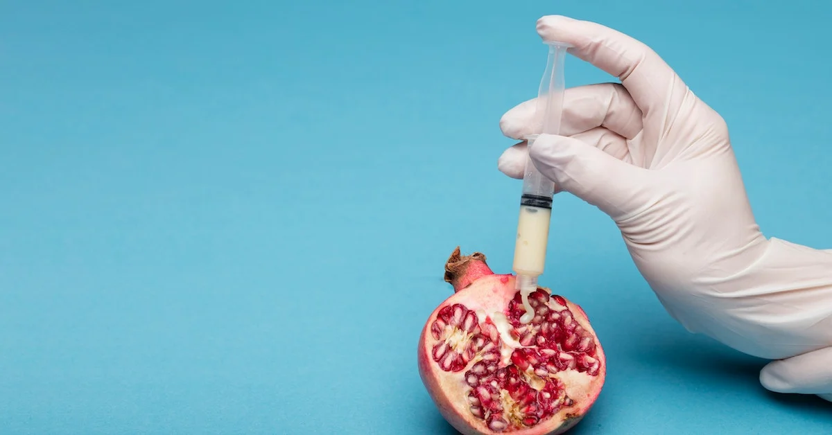 Surrogacy Laws Australia | Justice Family Lawyers