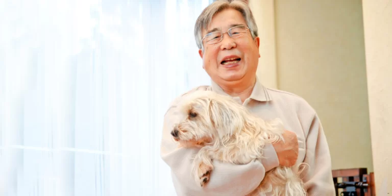 What is a companion animal in Australian law | Justice Family Lawyers
